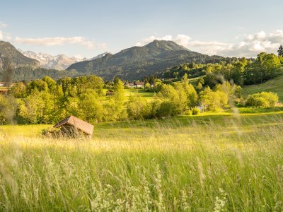 Sommer Spaziergang 