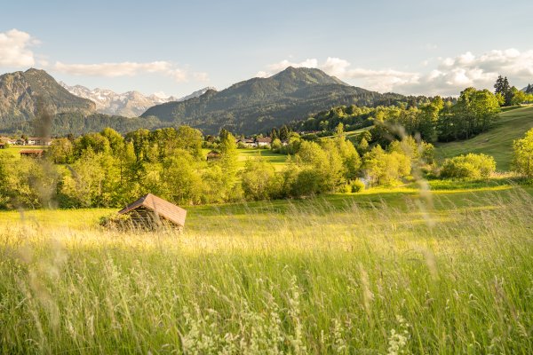 Sommer Spaziergang 