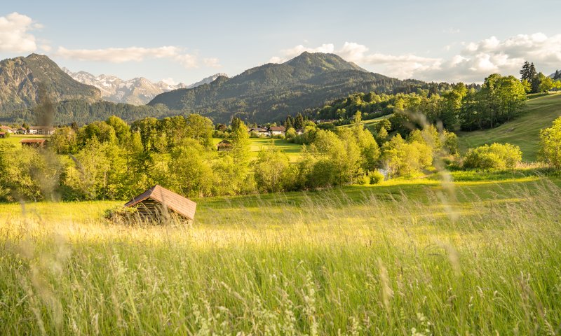Sommer Spaziergang 