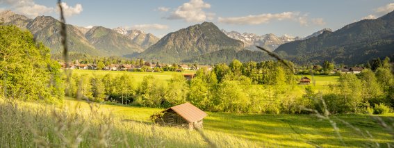 Sommer Spaziergang 