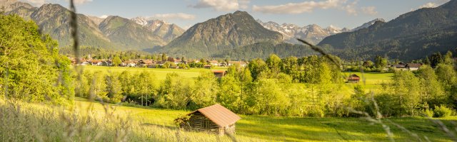 Sommer Spaziergang 
