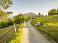 Sommer Spaziergang 