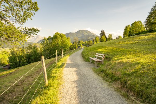 Sommer Spaziergang 