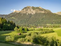 Sommer Spaziergang 