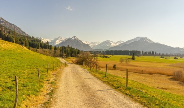 Frühlingsstimmung in Rubi