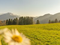 Frühlingsstimmung in Rubi