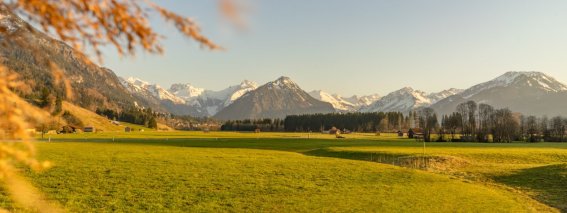 Frühlingsstimmung in Rubi