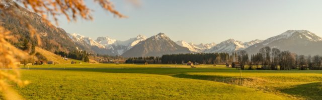 Frühlingsstimmung in Rubi