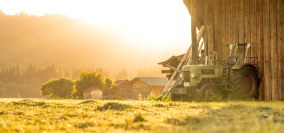 Sommerabend in Oberstdorf