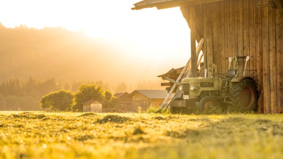 Sommerabend in Oberstdorf