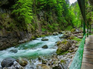 Breitachklamm im Sommer