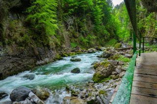 Breitachklamm im Sommer