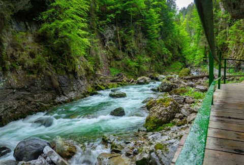 Breitachklamm im Sommer