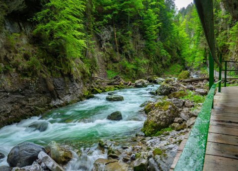 Breitachklamm im Sommer