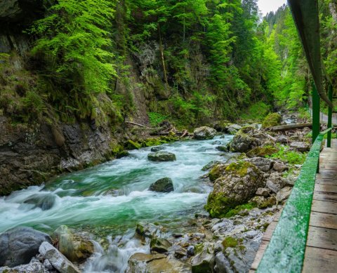 Breitachklamm im Sommer