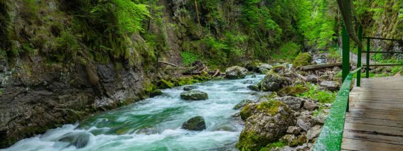 Breitachklamm im Sommer