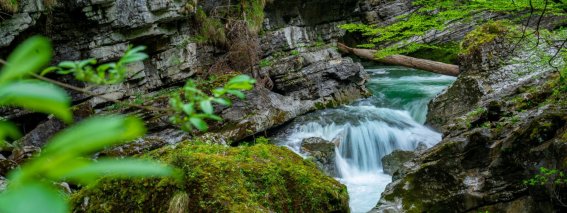 Breitachklamm im Sommer