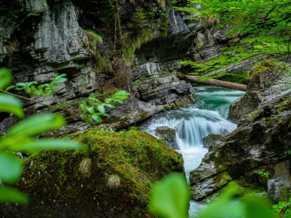 Breitachklamm im Sommer