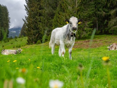 Breitachklamm im Sommer