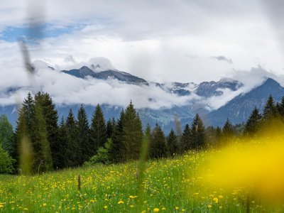 Breitachklamm im Sommer