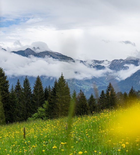 Breitachklamm im Sommer