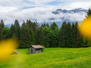 Breitachklamm im Sommer