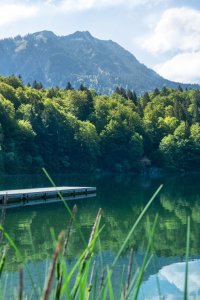 Sommer am Freibergsee