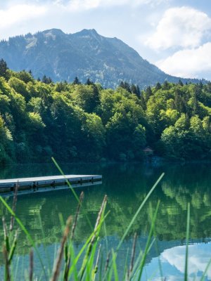 Sommer am Freibergsee