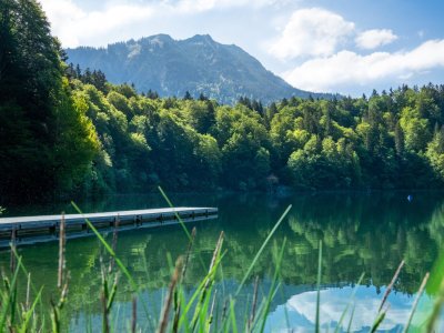 Sommer am Freibergsee