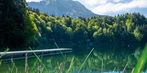 Sommer am Freibergsee