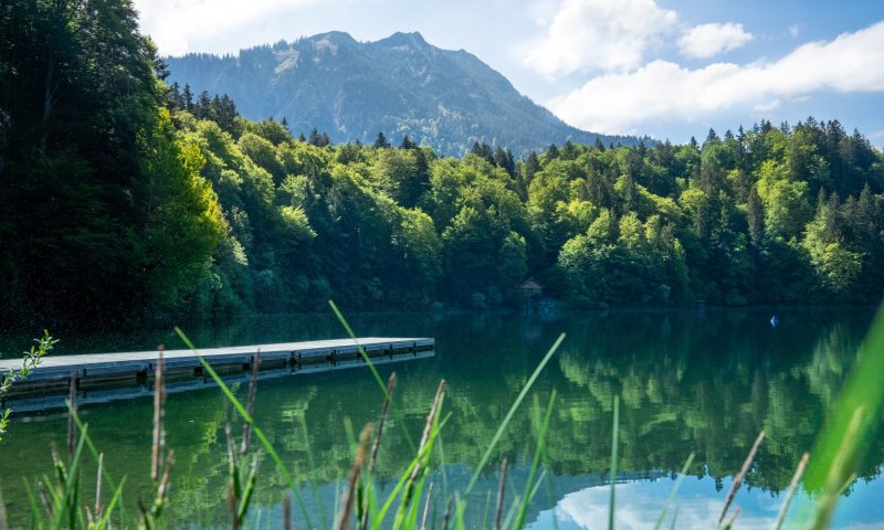 Sommer am Freibergsee