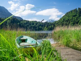 Sommer am Freibergsee