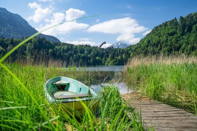 Sommer am Freibergsee