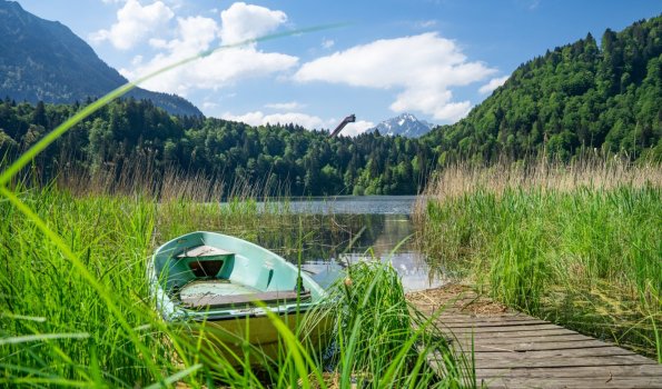 Sommer am Freibergsee