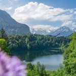 Sommer am Freibergsee