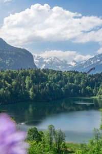  Sommer am Freibergsee