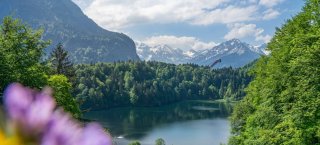  Sommer am Freibergsee