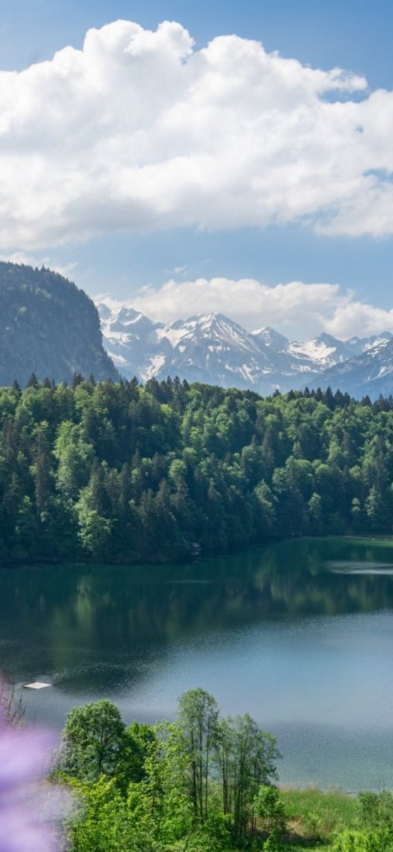 Sommer am Freibergsee