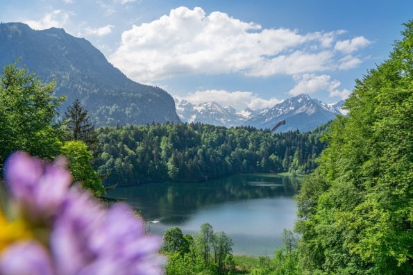  Sommer am Freibergsee