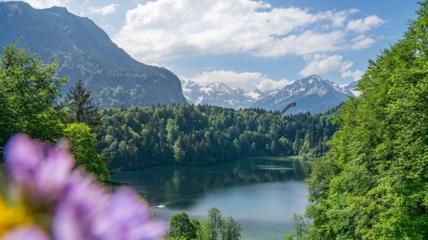  Sommer am Freibergsee