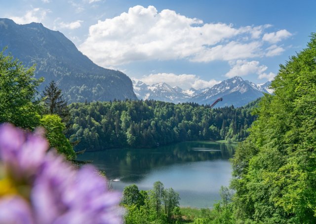 Sommer am Freibergsee