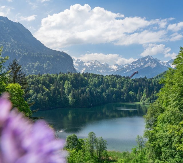  Sommer am Freibergsee