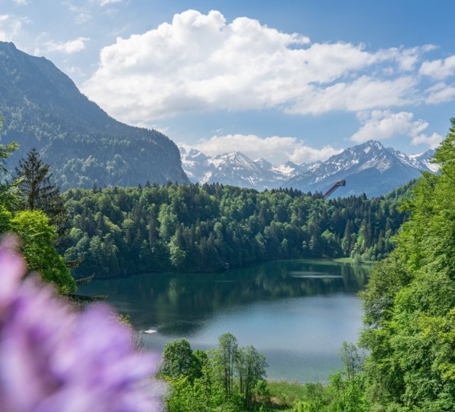  Sommer am Freibergsee