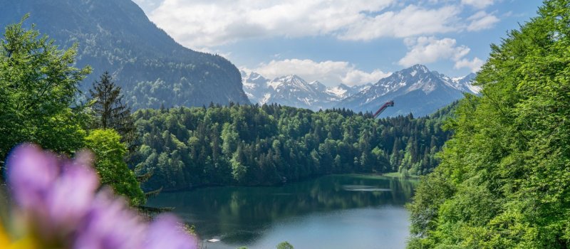 Sommer am Freibergsee