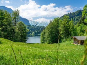 Sommer am Freibergsee