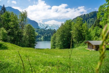 Sommer am Freibergsee
