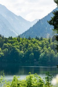 Sommer am Freibergsee