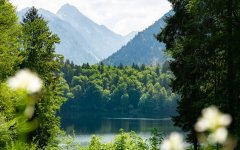 Sommer am Freibergsee