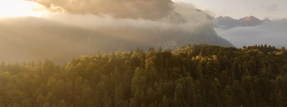 Herbst am Freibergsee