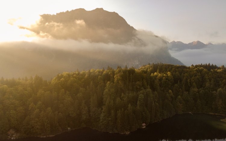 Herbst am Freibergsee